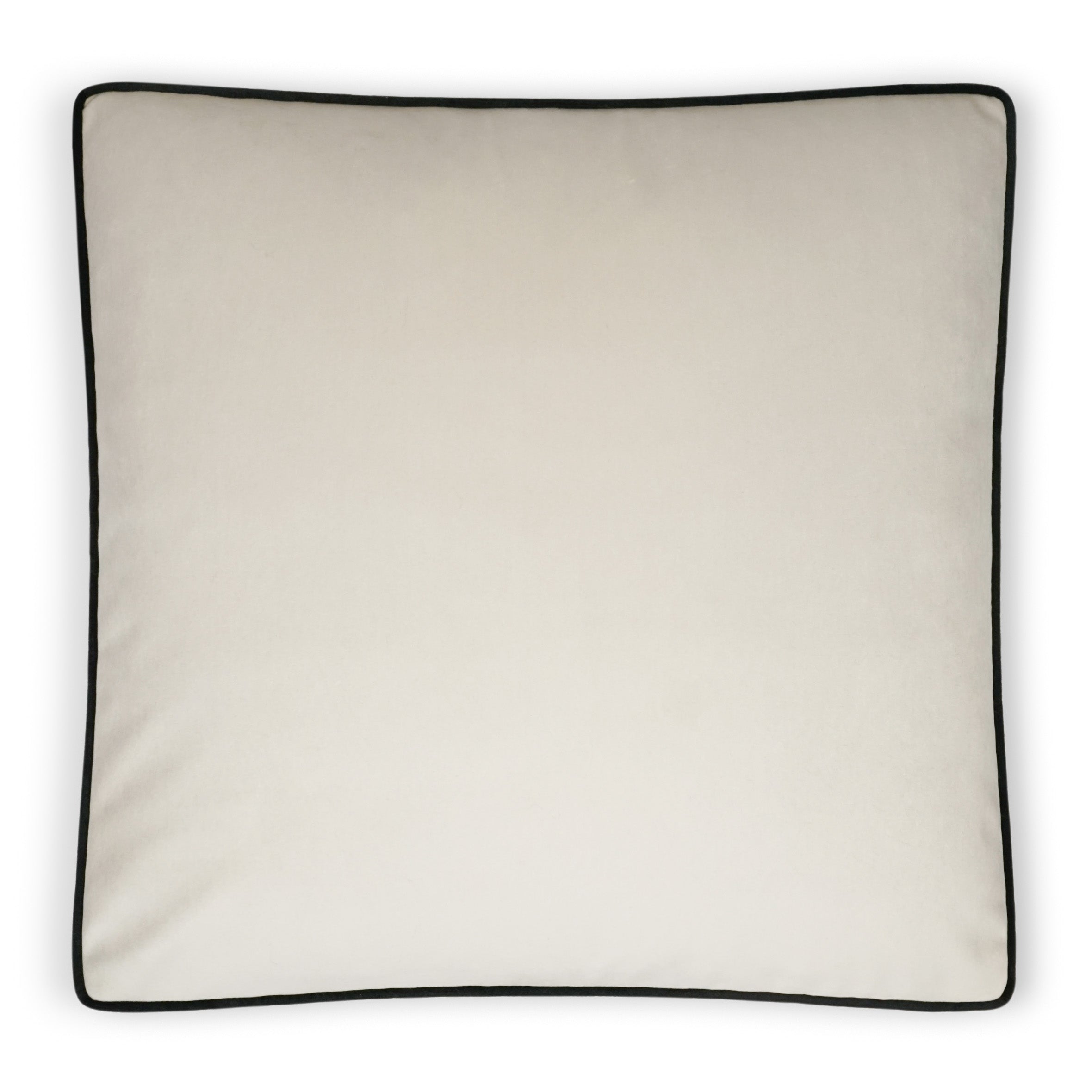 Posh Box Decorative Throw Pillow - Ivory | DV Kap