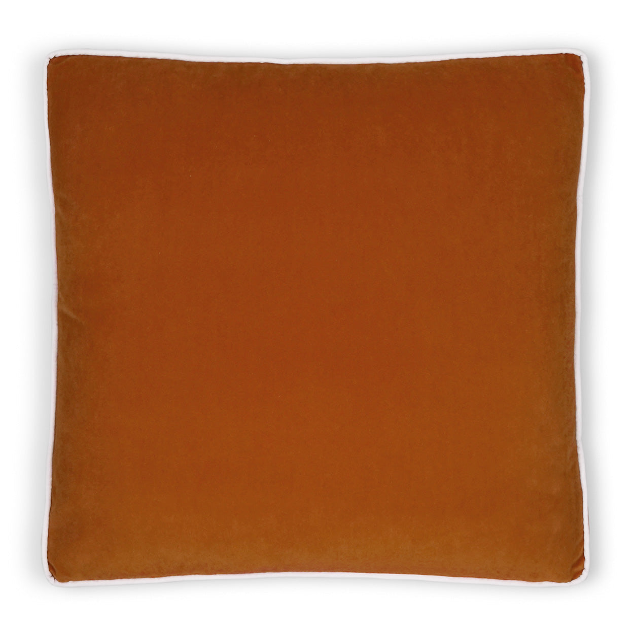 Posh Box Decorative Throw Pillow - Sedona | DV Kap