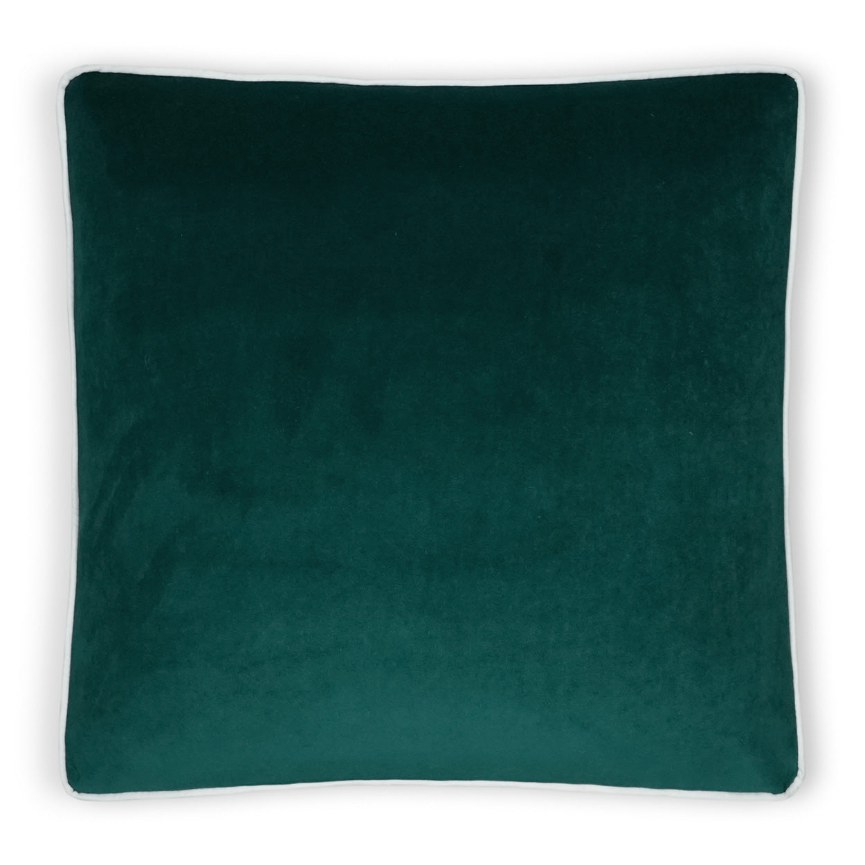 Posh Box Decorative Throw Pillow - Teal | DV Kap