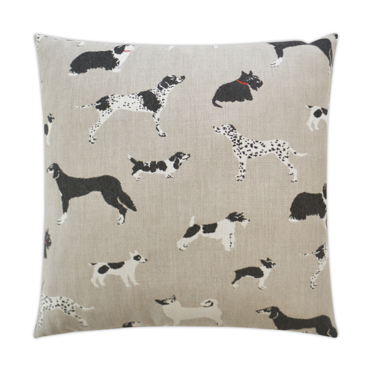 Fetch Outdoor Throw Pillow | DV KAP