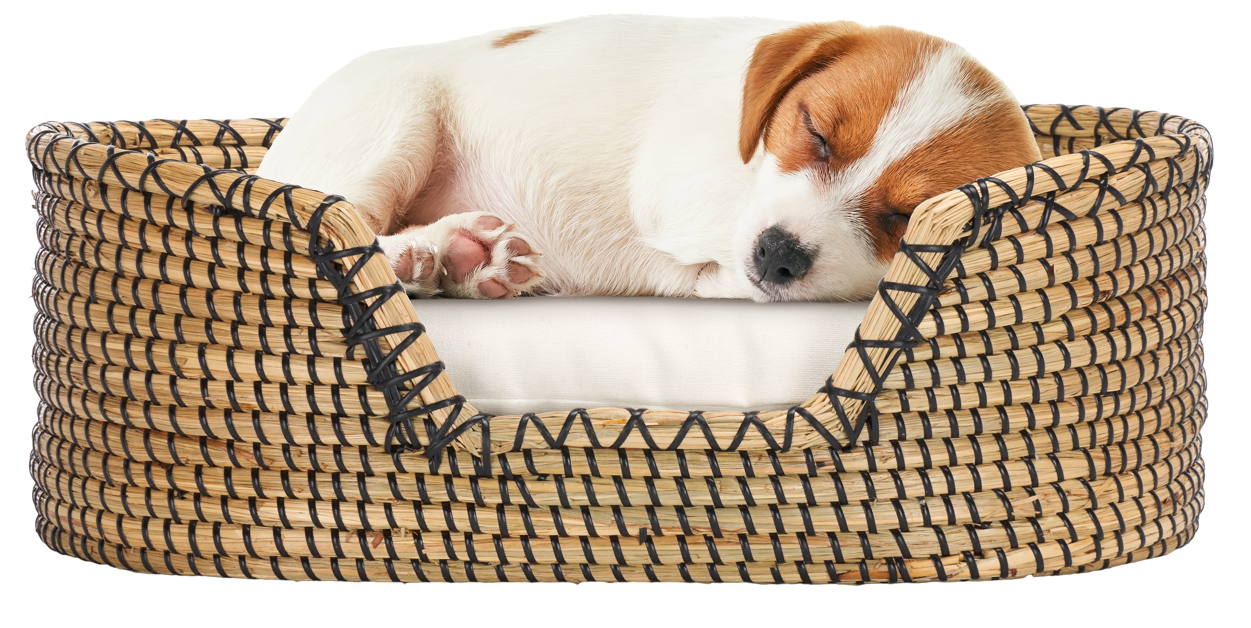 Safavieh Sarge Pet Bed W/ Cushion, PET1802 - Beige / Natural