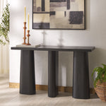 Safavieh Couture Ryllae Elm Wood Console Table, SFV2303 - Black