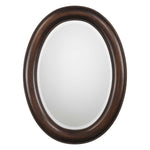 Home Decor Mirror - Dark Bronze Finish