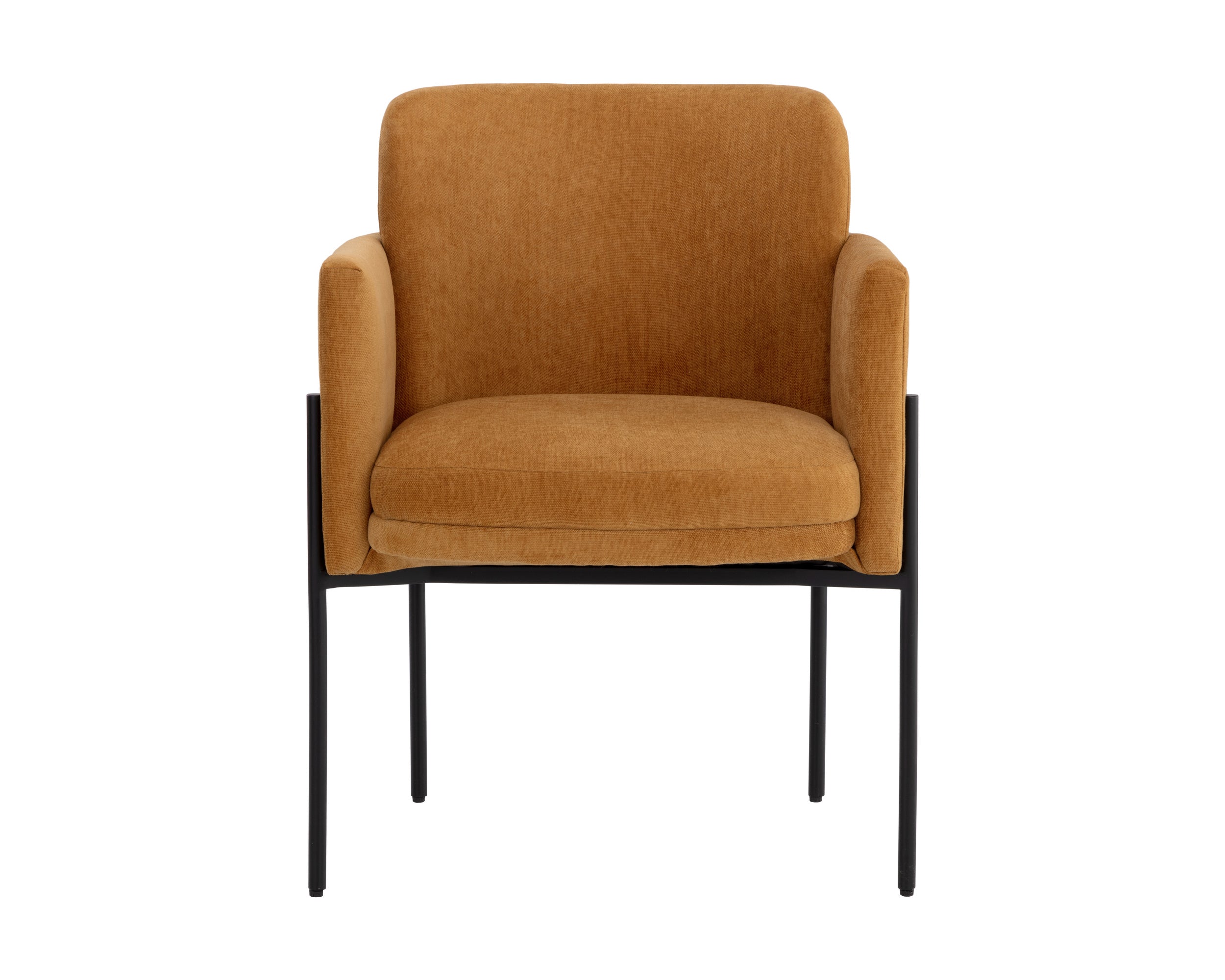 Richie Dining Armchair - Black  Danny Amber