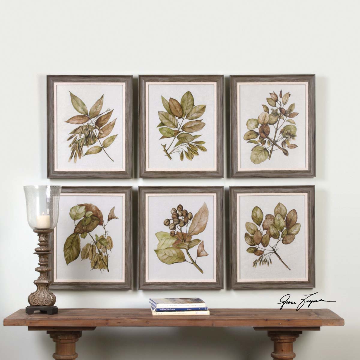 Uttermost Seedlings Framed Prints S/6