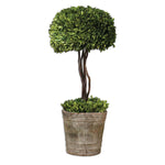 Uttermost Tree Topiary Preserved Boxwood