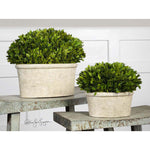 Uttermost Oval Domes Preserved Boxwood Set/2