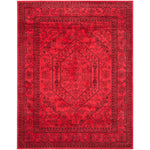 Safavieh Adirondack 108 Rug, Black, ADR108 - Red / Black