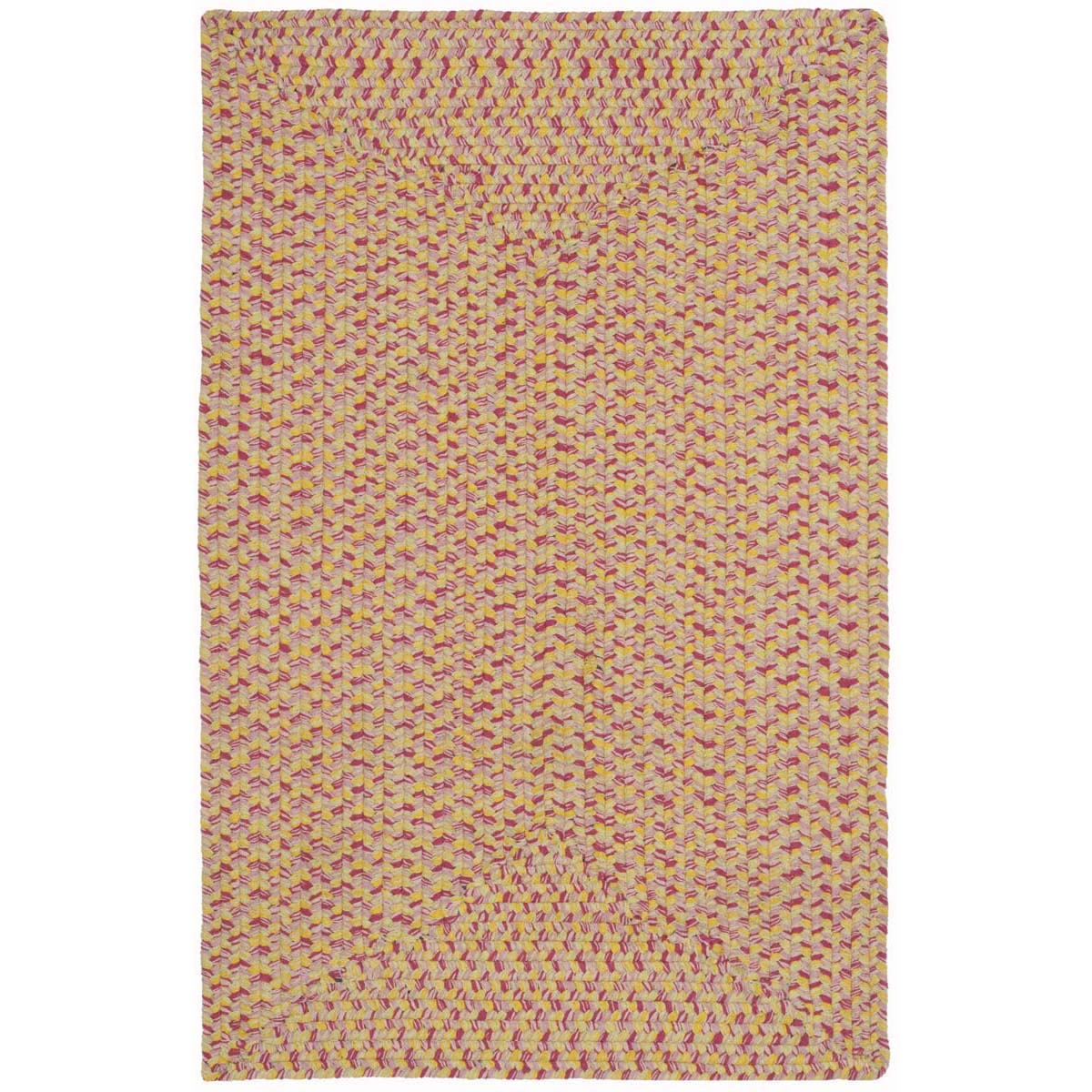 Safavieh Braided 164 Rug, BRD164 - Multi