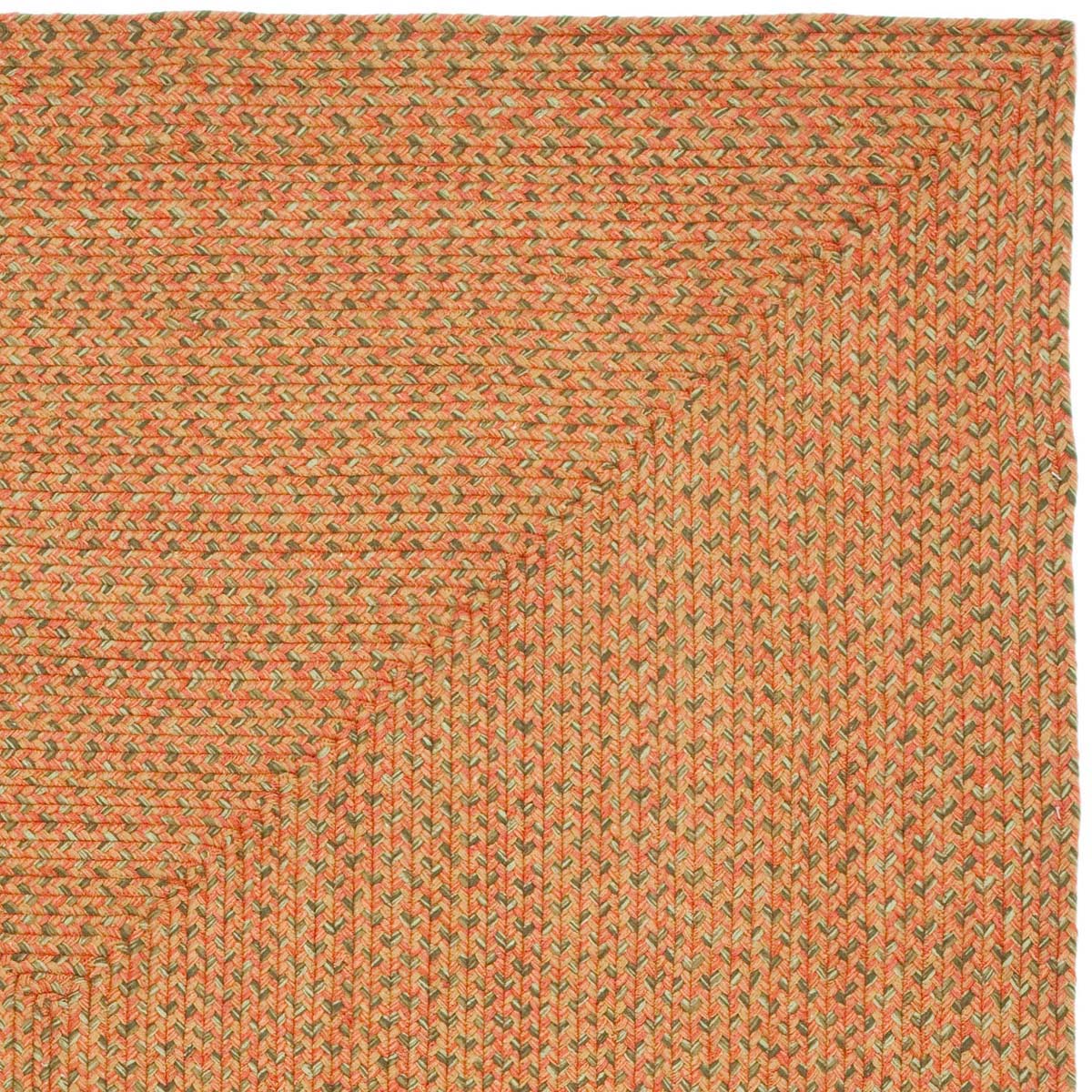 Safavieh Braided 166 Rug, BRD166 - Multi