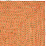 Safavieh Braided 166 Rug, BRD166 - Multi