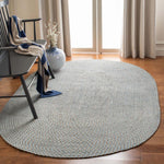 Safavieh Braided 170 Rug, BRD170 - Multi