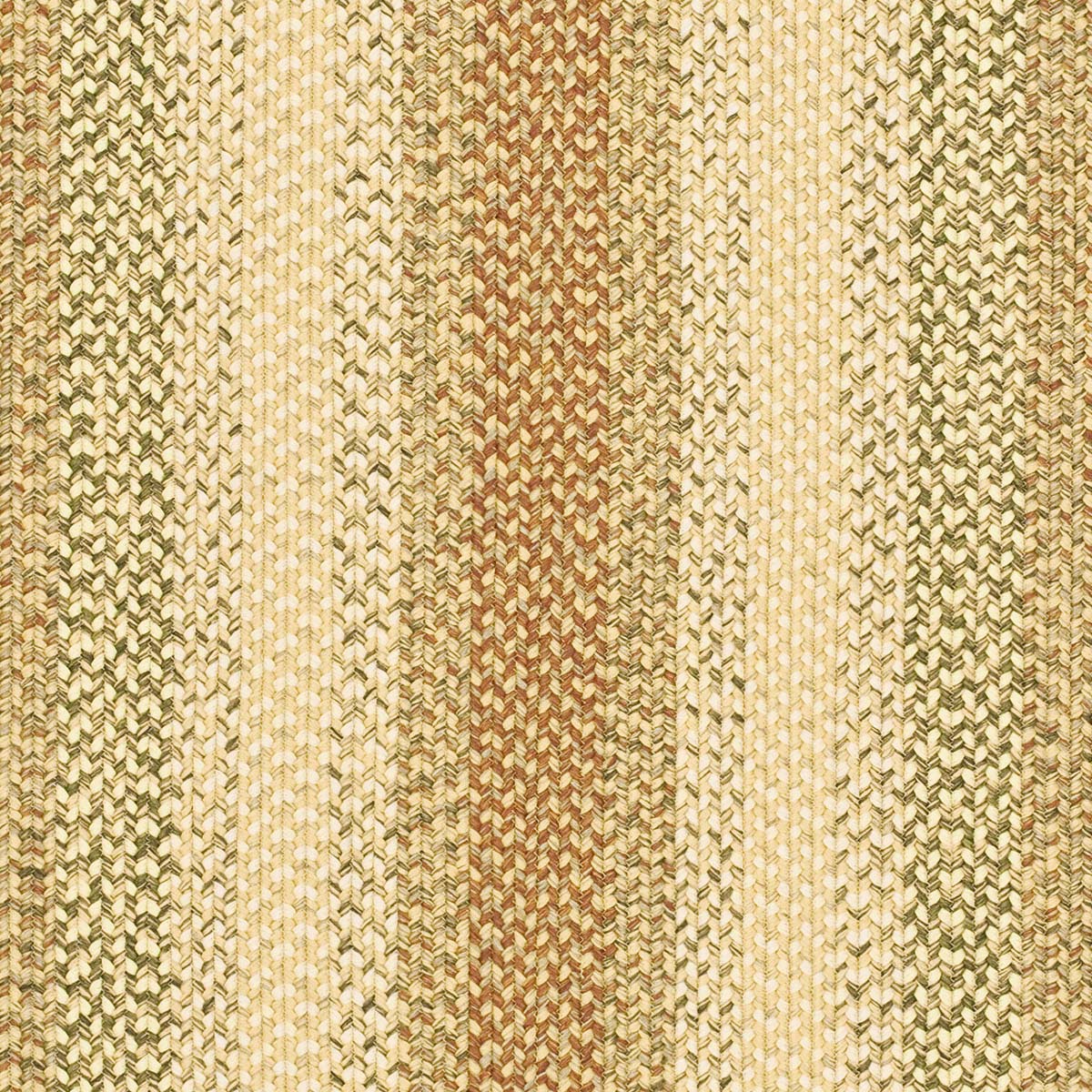 Safavieh Braided 303 Rug, BRD303 - Rust / Multi