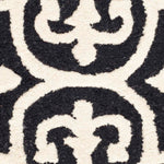 Safavieh Cambridge 133 Rug, CAM133 - Black / Ivory