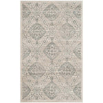 Safavieh Carnegie 623 Rug, CNG623 - Taupe / Light Blue