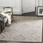 Safavieh Carnegie 623 Rug, CNG623 - Taupe / Light Blue