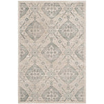 Safavieh Carnegie 623 Rug, CNG623 - Taupe / Light Blue