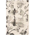 Safavieh Dip Dye 716 Rug, DDY716 - Ivory / Charcoal