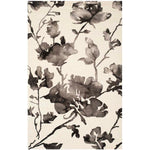 Safavieh Dip Dye 716 Rug, DDY716 - Ivory / Charcoal