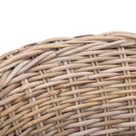 Safavieh Omni Rattan Barrel Chair , FOX6501 - Natural 