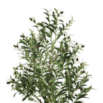 Safavieh Faux Olive 60 Potted Tree , FXP2007 - Green