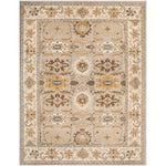 Safavieh Heritage 34C Rug, HG734C - Light Grey / Grey