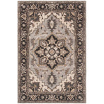 Safavieh Royalty 700 Rug, ROY700 - Silver / Charcoal