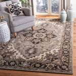 Safavieh Royalty 700 Rug, ROY700 - Silver / Charcoal