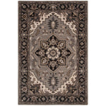 Safavieh Royalty 700 Rug, ROY700 - Silver / Charcoal