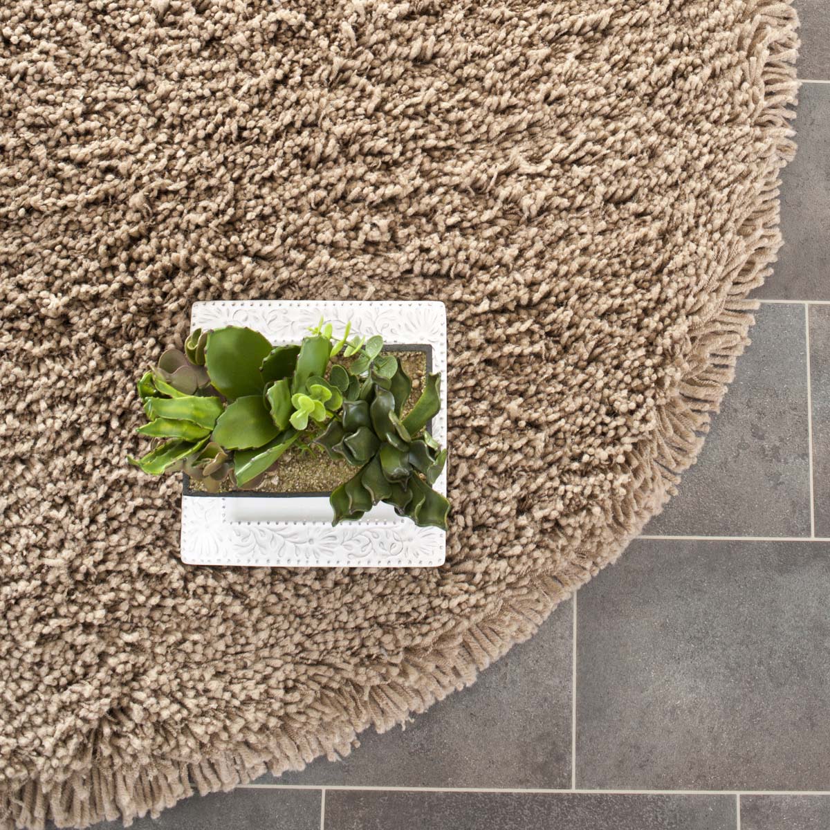 Safavieh Classic Shag 40 Rug, SG140 - Taupe