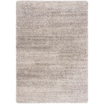 Safavieh Hudson Shag 295 Rug, SGH295 - Ivory / Grey