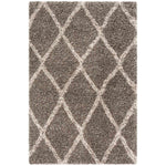 Safavieh Hudson Shag 329 Rug, SGH329 - Grey / Ivory