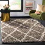 Safavieh Hudson Shag 329 Rug, SGH329 - Grey / Ivory