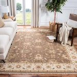 Safavieh Sumak 418 Rug, SUM418 - Brown / Ivory