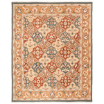 Safavieh Sumak 431 Rug, SUM431 - Taupe / Multi