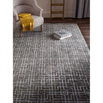 Safavieh Tibetan 26A Rug, TB426A - Taupe