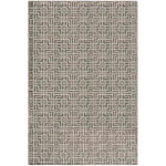 Safavieh Tibetan 26A Rug, TB426A - Taupe