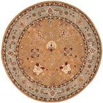 Safavieh Total Performance 712 Rug, TLP712 - Copper / Moss