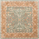 Safavieh Total Performance 722 Rug, TLP722 - Sage / Copper