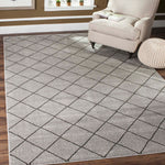 Safavieh Tunisia 294 Rug, TUN294 - Grey / Black