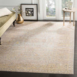 Safavieh Valencia 123 Rug, VAL123 - Grey / Multi