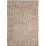 Safavieh Valencia 123 Rug, VAL123 - Grey / Multi