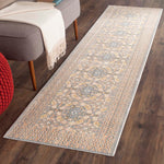 Safavieh Valencia 210 Rug, VAL210 - Light Grey / Multi