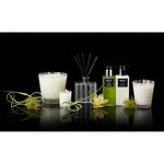 Lemongrass & Ginger 8oz. Candle by Nest New York