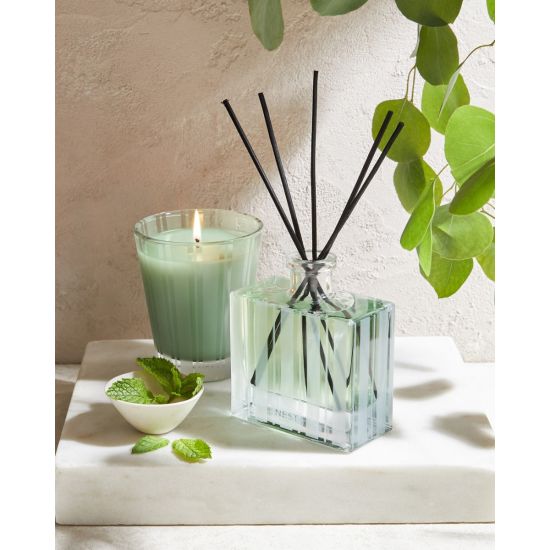 Wild Mint & Eucalyptus 8oz. Candle by Nest New York